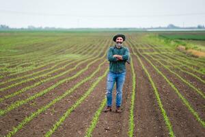 gelukkig boer met digitaal tablet staand in zijn groeit maïs veld- foto