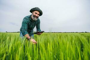 gelukkig boer gebruik makend van digitaal tablet terwijl staand in zijn groeit tarwe veld- foto