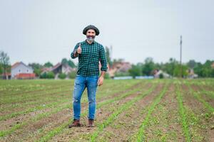 gelukkig boer tonen duim omhoog terwijl staand in zijn groeit maïs veld- foto