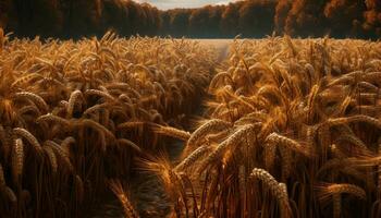 ai gegenereerd zonsondergang over- water, natuur rustig tafereel weerspiegelt schoonheid gegenereerd door ai foto