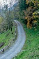 land weg in de bossen foto