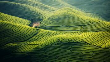 ai gegenereerd groen thee plantage, top visie structuur foto