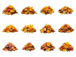 stapel van herfst bladeren verzameling geïsoleerd Aan wit achtergrond met ai gegenereerd. foto