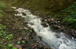 een helder blauw rivier- vloeiende door Woud net zo de zon begint naar reeks in een verborgen park langs de toneel- rit in hoverla bergen Oppervlakte foto