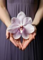 ai gegenereerd handen Holding orchidee bloem Aan een Purper geïsoleerd achtergrond foto