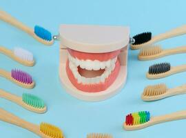 houten tandenborstel en plastic model- van tandheelkundig kaak met wit tanden Aan een blauw achtergrond, mondeling hygiëne foto