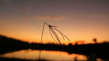 prachtige avondrood foto