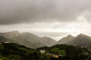 anaga noorden Woud in Tenerife eiland, kanarie eilanden, Spanje. foto