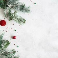 Kerstmis samenstelling. Spar boom takken, rood decoraties Aan grijs achtergrond, bloemen samenstelling. wit en Purper bloemen Aan marmeren achtergrond, eucalyptus bladeren, winter, top visie. Kerstmis geschenk. foto