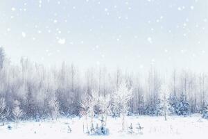 landschap. bevroren winter Woud met sneeuw gedekt bomen. foto