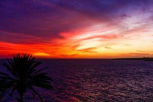 palm boom silhouet gedurende zonsondergang in kanarie eilanden foto