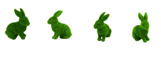 groen konijn geïsoleerd Aan een wit achtergrond. foto