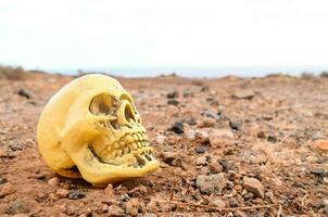 een geel schedel zittend Aan de grond in een woestijn foto