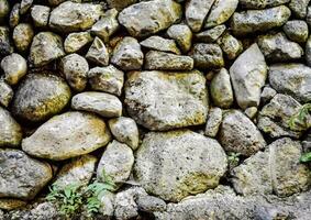 een steen muur met veel rotsen en planten foto