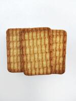 dichtbij omhoog van een chocola biscuit brood schotel met een wit achtergrond, ronde Indisch biscuits Aan wit achtergrond geïsoleerd foto