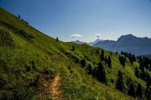 2023 07 09 gosaldo berg landschap 20.jpg foto