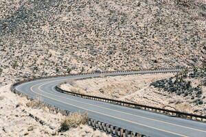 woestijn weg in Arizona omringd door sappig planten foto