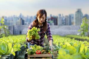 Aziatisch vrouw tuinman is oogsten organische stoffen groente terwijl werken Bij op het dak stedelijk landbouw futuristische stad duurzame tuinieren Aan de beperkt ruimte naar verminderen koolstof voetafdruk en voedsel veiligheid foto