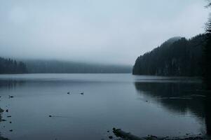 donker meer in de mist in winter foto