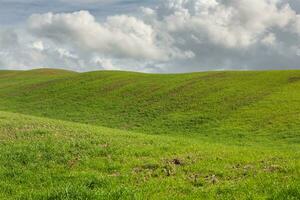 beroemd Toscane landschap met gebogen weg en cipres, Italië, Europa. landelijk boerderij, cipres bomen, groen veld, zonlicht en wolk. foto