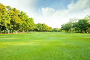 groen gazon in Open openbaar park foto