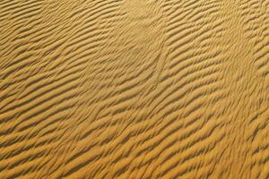 de zand duinen van de Sahara woestijn foto