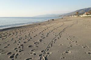 toneel- strand Aan de thyrrenisch kustlijn in Calabrië, Italië foto