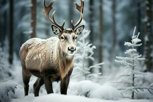 ai gegenereerd rendier in de voorjaar belichamen vernieuwing en van de natuur seizoensgebonden schoonheid ai gegenereerd foto