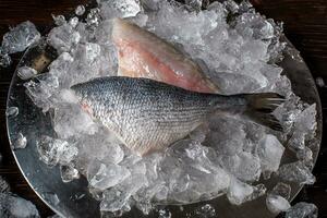 zeevruchten Koken voorbereiding. top visie van dorado filet Aan ijs. foto