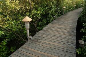 de voetganger pad in een mangrove Woud in probolinggo, Indonesië is gemaakt van houten planken versierd met klassiek tuin lichten foto