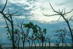 Gili ketapang eiland, probolinggo, Indonesië foto