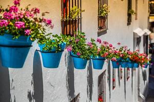 straat met bloemen in de mijas dorp, Spanje foto