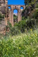 brug van ronda, een van de meest beroemd wit dorpen van Malaga, Andalusië, Spanje foto