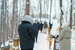 mooi huisje in de Woud Bij furano Ningle terras met sneeuw in winter seizoen. mijlpaal en populair voor attracties in hokkaido, Japan. reizen en vakantie concept foto