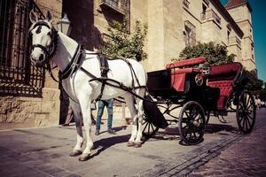 traditioneel paard en kar Bij Cordoba Spanje - reizen achtergrond foto