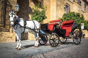 traditioneel paard en kar Bij Cordoba Spanje - reizen achtergrond foto