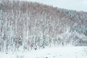 biei blauw vijver met sneeuw in winter seizoen. mijlpaal en populair voor attracties in hokkaido, Japan. reizen en vakantie concept foto