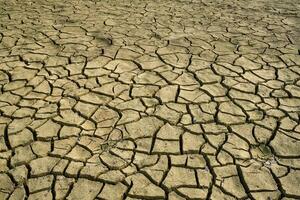 gebarsten droog aarde met scheuren structuur foto