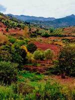 hectare tussen natuur gedurende ploegen foto