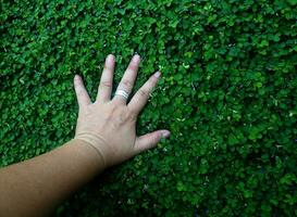 menselijk hand- en voet teken Aan groen gras achtergrond vier blad Hoes foto