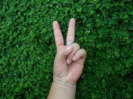 menselijk hand- en voet teken Aan groen gras achtergrond vier blad Hoes foto