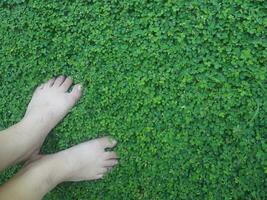 menselijk hand- en voet teken Aan groen gras achtergrond vier blad Hoes foto