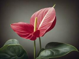 ai gegenereerd anthurium bloem in dichtbij omhoog foto