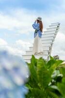 jong vrouw reiziger genieten van met bloeiend hortensia's tuin in dalat, Vietnam foto