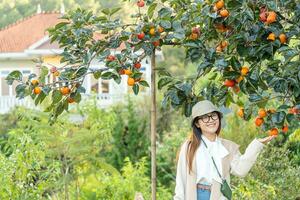 jong vrouw reiziger genieten van met kaki tuin achtergrond in dalat, Vietnam foto