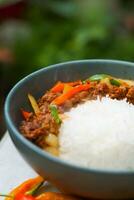 rook rundvlees met Chili en rijst- foto