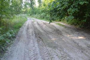 vrachtwagensporen in bos landelijke weg off-road