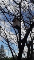 vogelhuisje voor vogels aan een boom foto