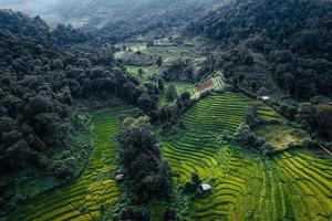 groene rijstvelden in het regenseizoen van bovenaf foto