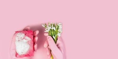 een vrouw handen in een roze rubber handschoenen houden een zeepachtig keuken spons en voorjaar bloemen Aan een roze achtergrond. detailopname. top visie. spandoek. kopiëren ruimte. selectief focus. foto